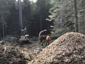 Clearing lot and chipping